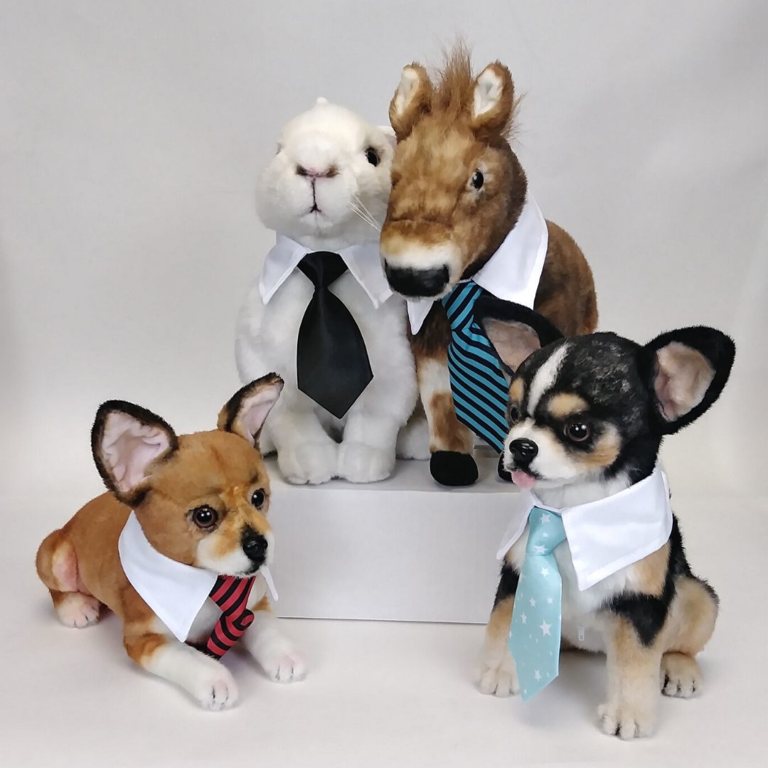 Formal Pet Tie