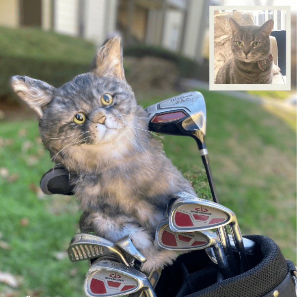 Cat Golf Head Covers