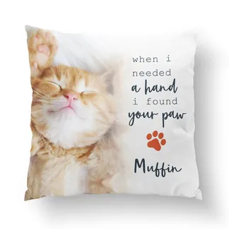 Found Your Paw Pillow