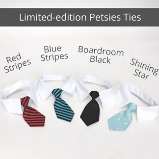 Formal Pet Tie