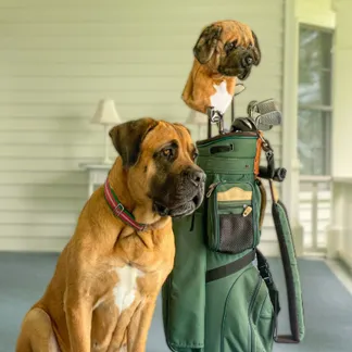 Dog Golf Head Covers