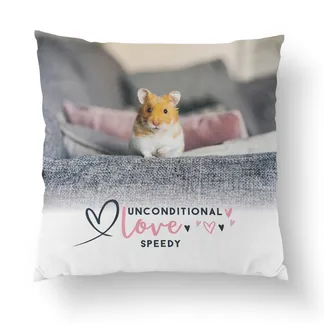 Unconditional Love Pillow